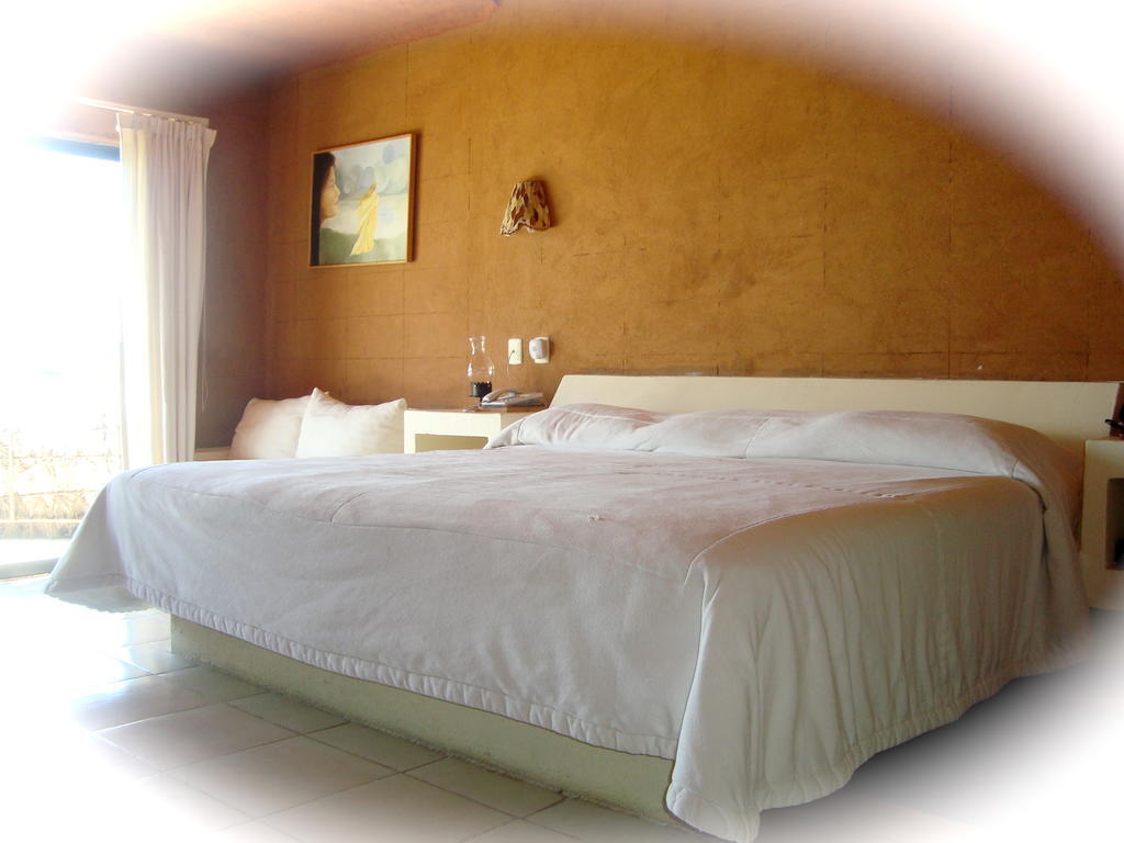 Vida En El Lago Hotel Tepecoacuilco de Trujano Room photo